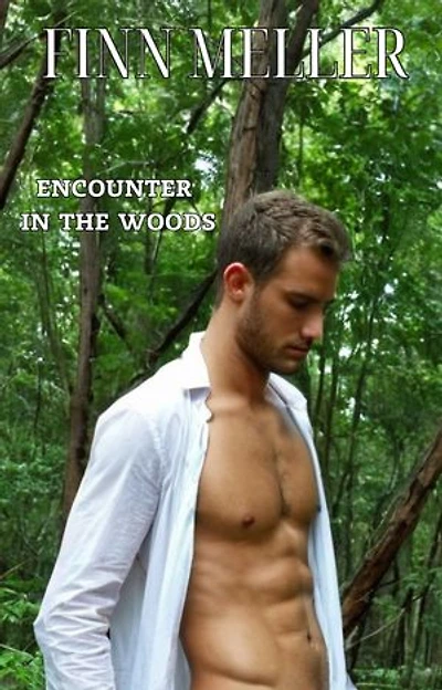 Encounter in the woods: gay erotic short story