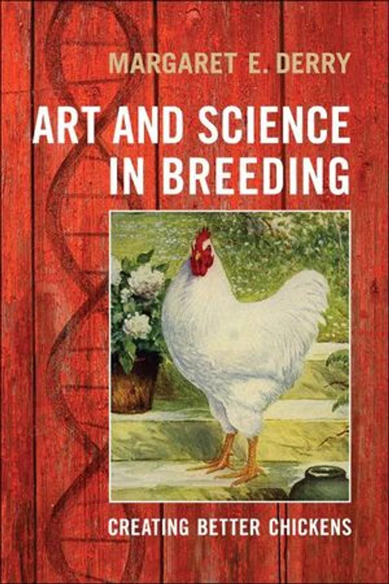 Art and Science Breeding: Creating Better Chickens