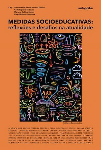 Medidas Socioeducativas: reflexões e desafios na atualidade