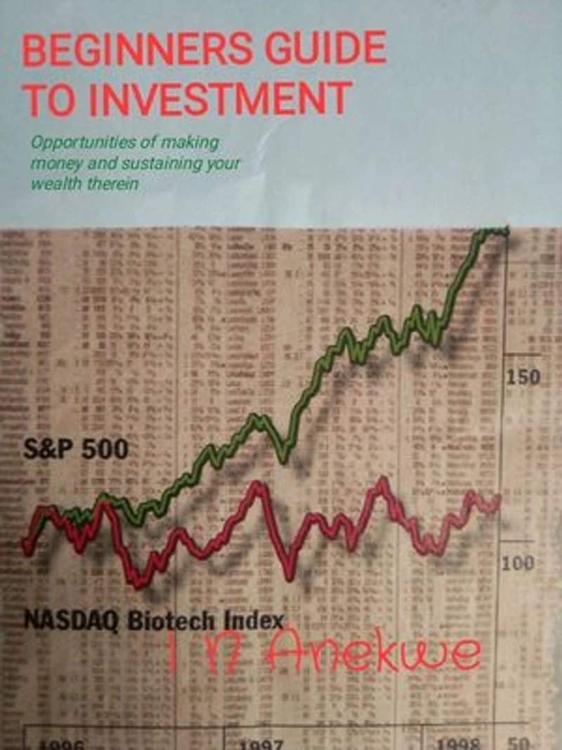 BEGINNERS GUIDE TO INVESTMENT: Opportunities of making money and sustaining your wealth therein