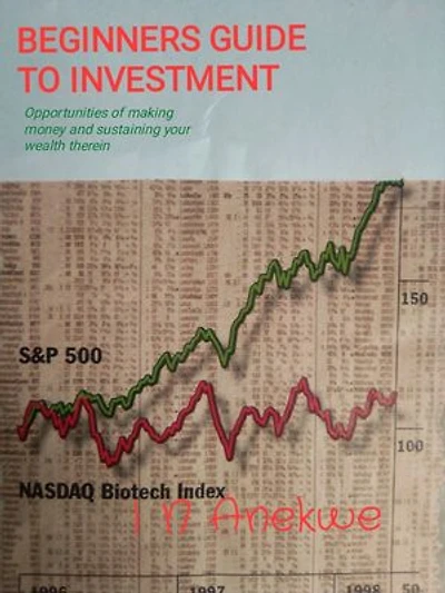 BEGINNERS GUIDE TO INVESTMENT: Opportunities of making money and sustaining your wealth therein