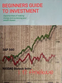 BEGINNERS GUIDE TO INVESTMENT: Opportunities of making money and sustaining your wealth therein