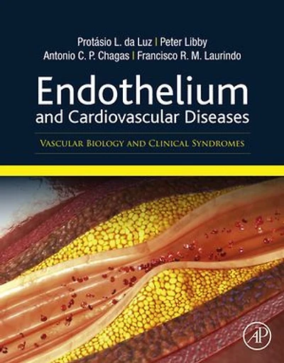Endothelium and Cardiovascular Diseases: Vascular Biology Clinical Syndromes
