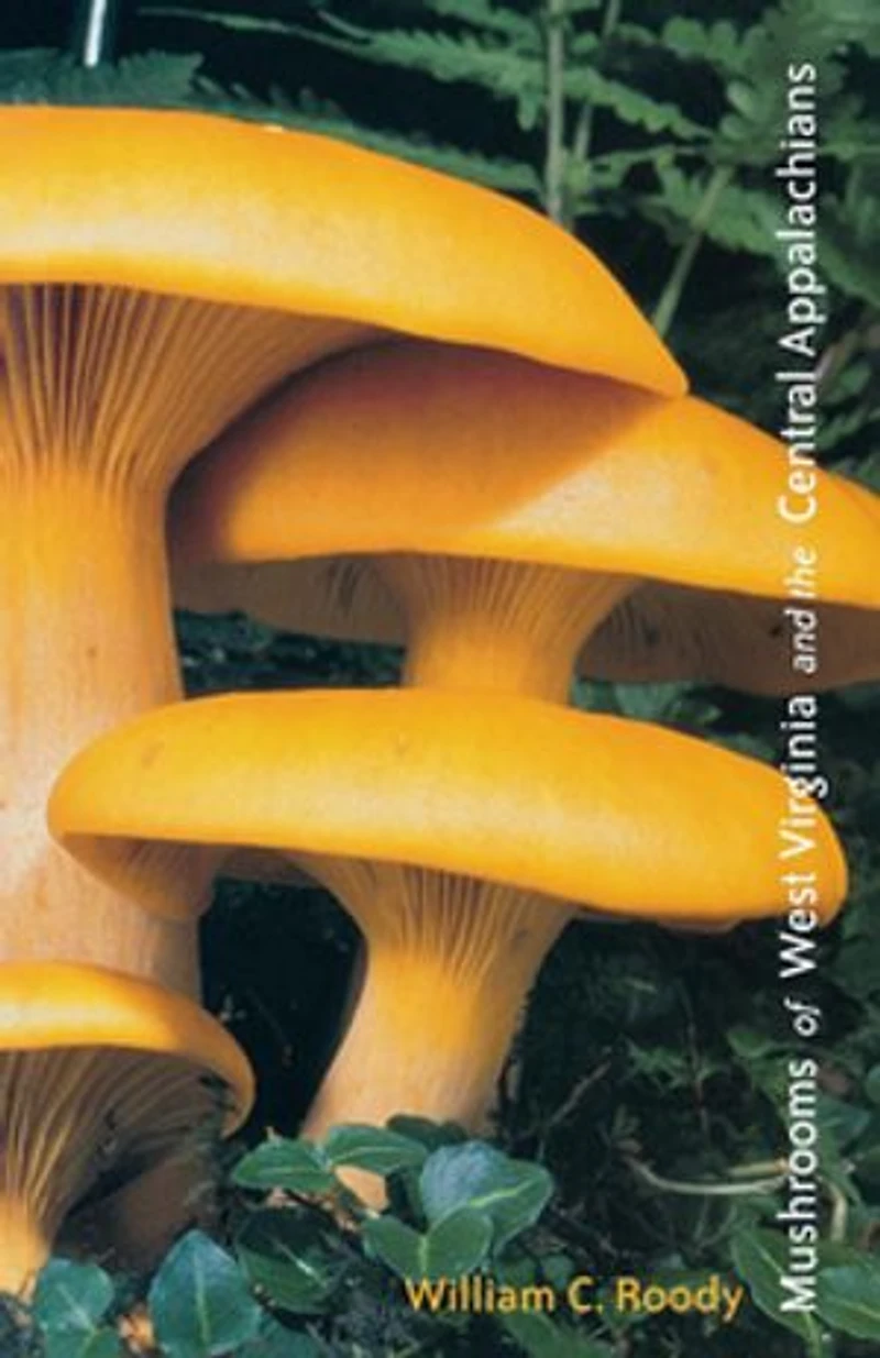 Mushrooms Of West Virginia And The Central Appalachians