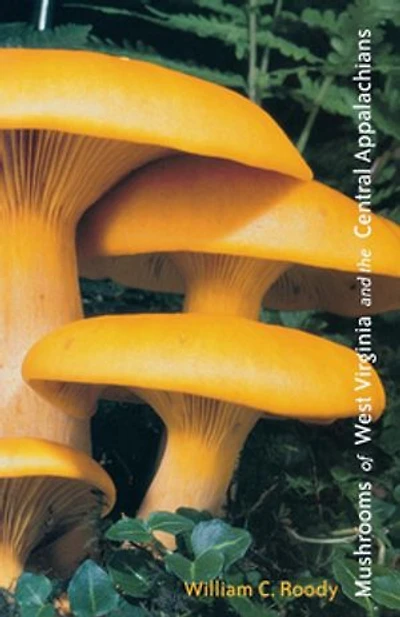 Mushrooms Of West Virginia And The Central Appalachians