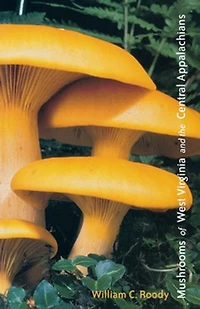 Mushrooms Of West Virginia And The Central Appalachians