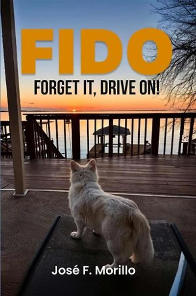 FIDO: FORGET IT