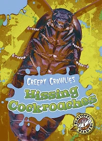 Hissing Cockroaches