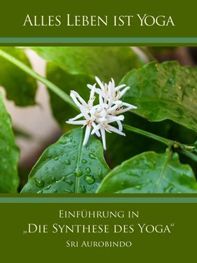 Einführung in „Die Synthese des Yoga“