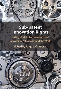 Sub-Patent Innovation Rights: Utility Models, Petty Patents and Innovation Patents Around the World