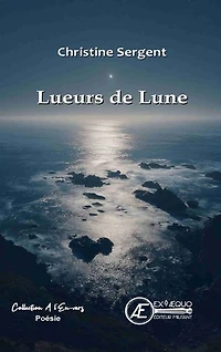 Lueurs de Lune