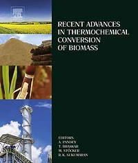 Recent Advances Thermochemical Conversion of Biomass
