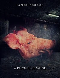 A Pasture of Swine