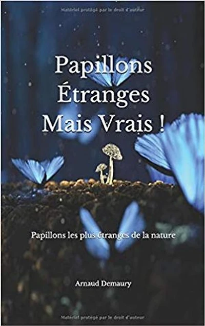 Papillons Étranges mais vrais !: Papillons les plus étranges de la nature