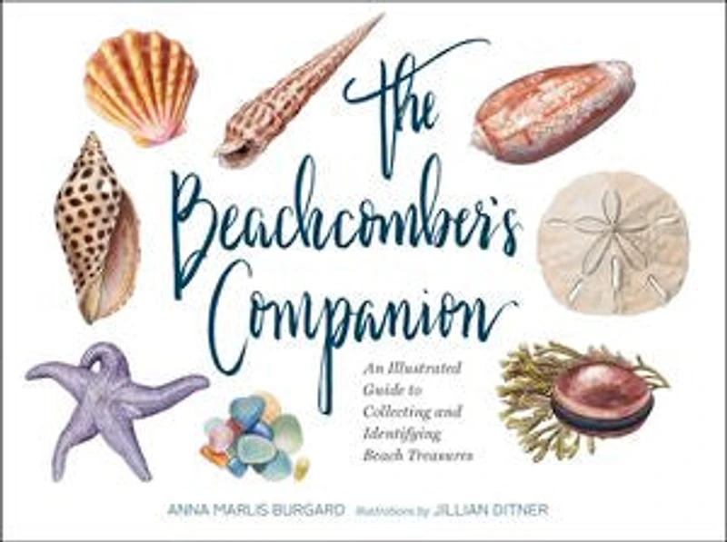 The Beachcomber's Companion: An Illustrated Guide to Collecting and Identifying Beach Treasures (Watercolor Seashell Shell Book, Lover Gift)