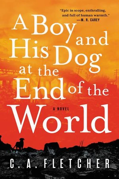 A Boy and His Dog at the End of World: Novel