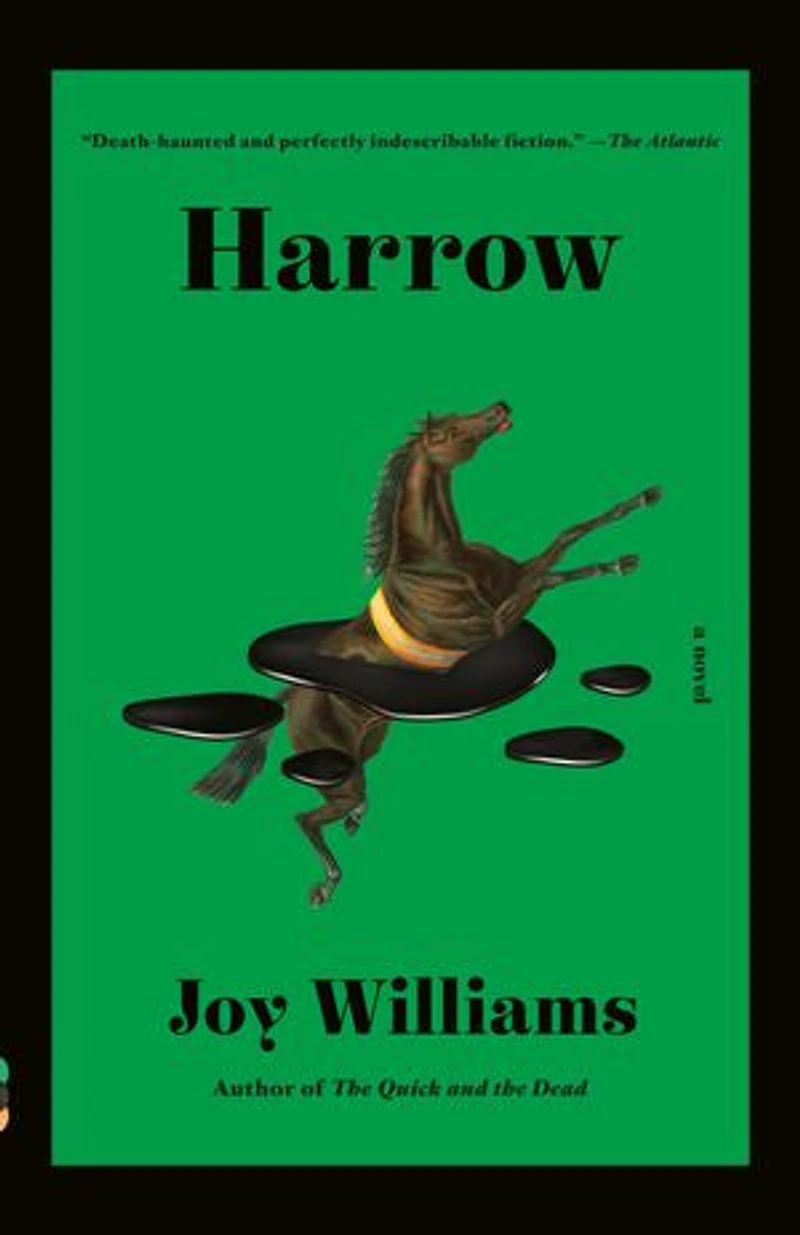 Harrow: A Novel
