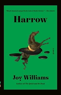 Harrow: A Novel