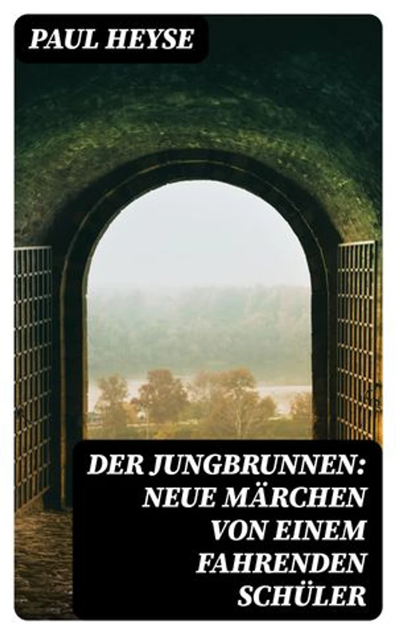 Der Jungbrunnen: Neue Märchen von einem fahrenden Schüler
