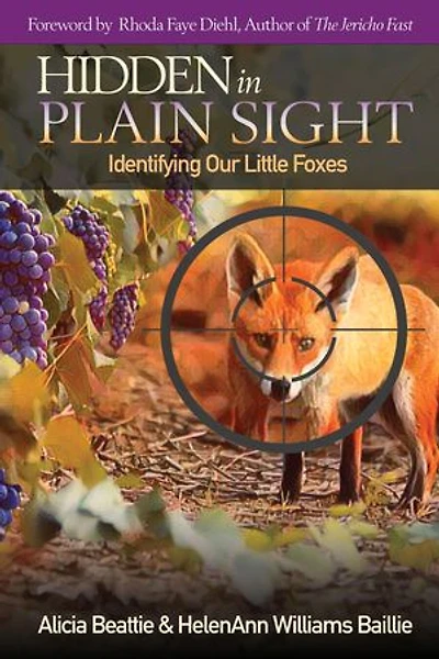 Hidden in Plain Sight: Identifying Our Little Foxes