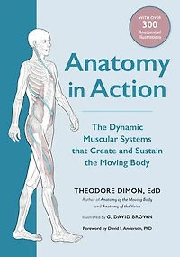 Anatomy Action: the Dynamic Muscular Systems that Create and Sustain Moving Body