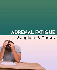 Adrenal Fatigue