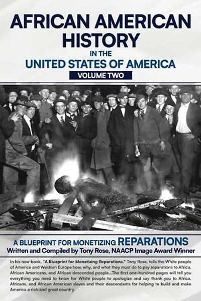 AFRICAN AMERICAN HISTORY IN THE UNITED STATES OF AMERICA (VOLUME TWO): A BLUEPRINT FOR MONETIZING REPARATIONS