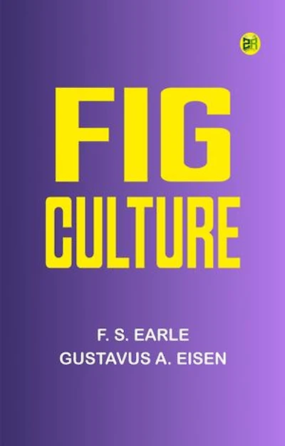 Fig Culture