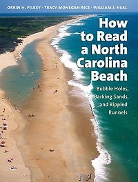 How to Read a North Carolina Beach: Bubble Holes, Barking Sands, and Rippled Runnels