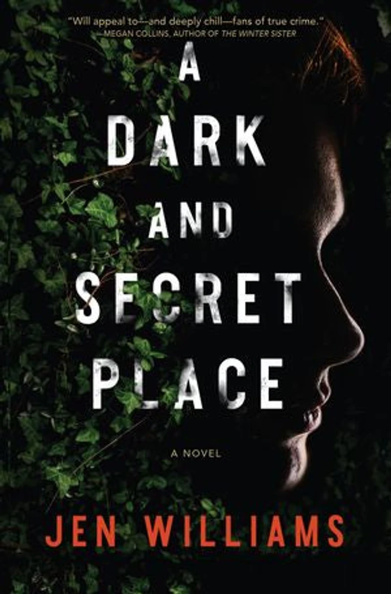 A Dark and Secret Place: Thriller