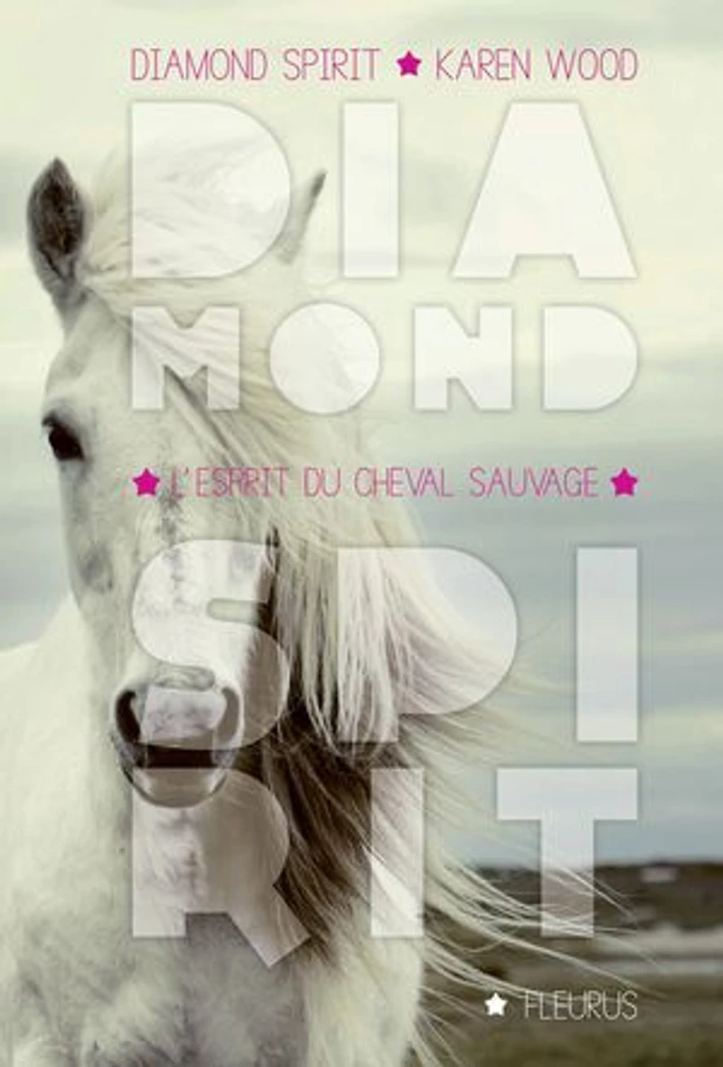 L' esprit du cheval sauvage