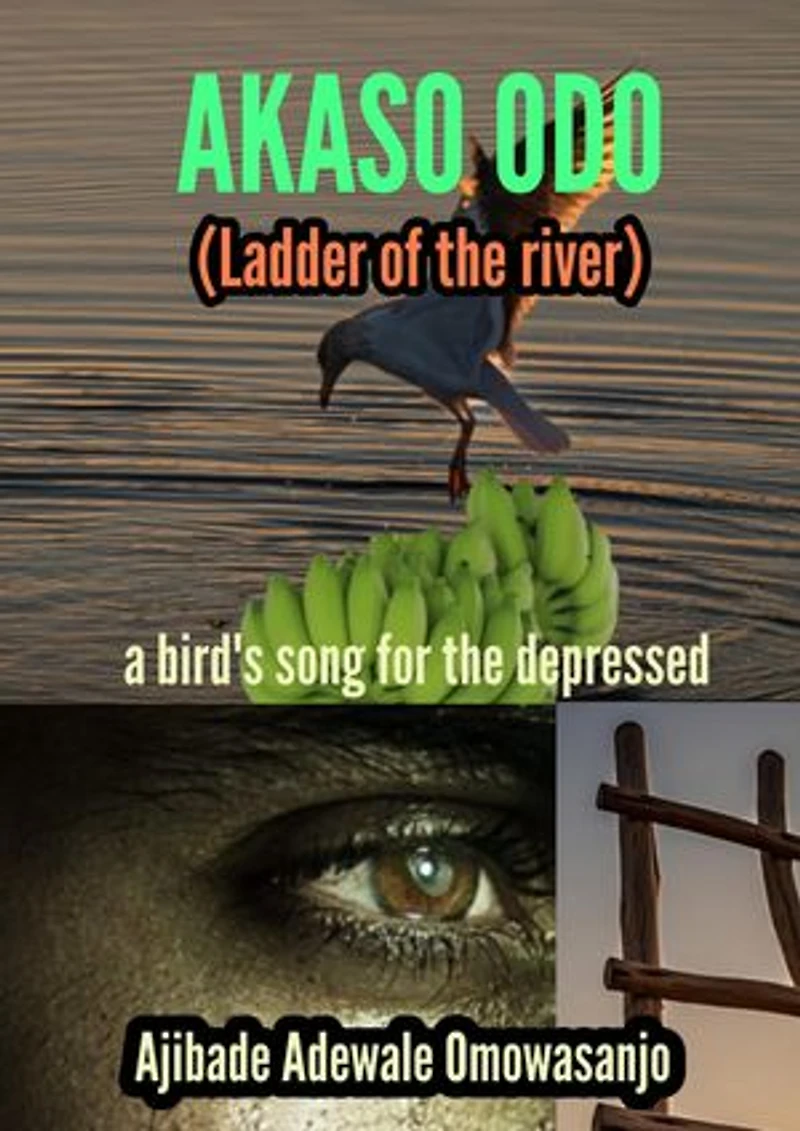 AKASO ODO (LADDER OF THE RIVER): a bird's song for the depressed