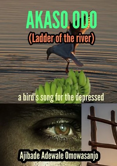 AKASO ODO (LADDER OF THE RIVER): a bird's song for the depressed