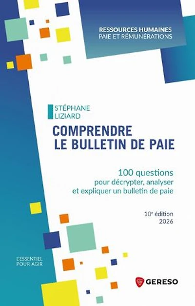 Comprendre le bulletin de paie: 100 questions pour décrypter, analyser et expliquer un paie