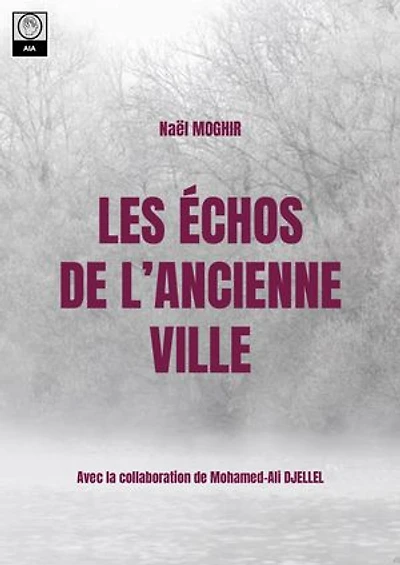 Les Échos de l’Ancienne Ville: Mystères et Secrets Enfouis