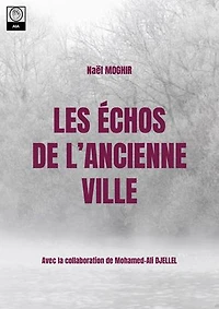 Les Échos de l’Ancienne Ville: Mystères et Secrets Enfouis