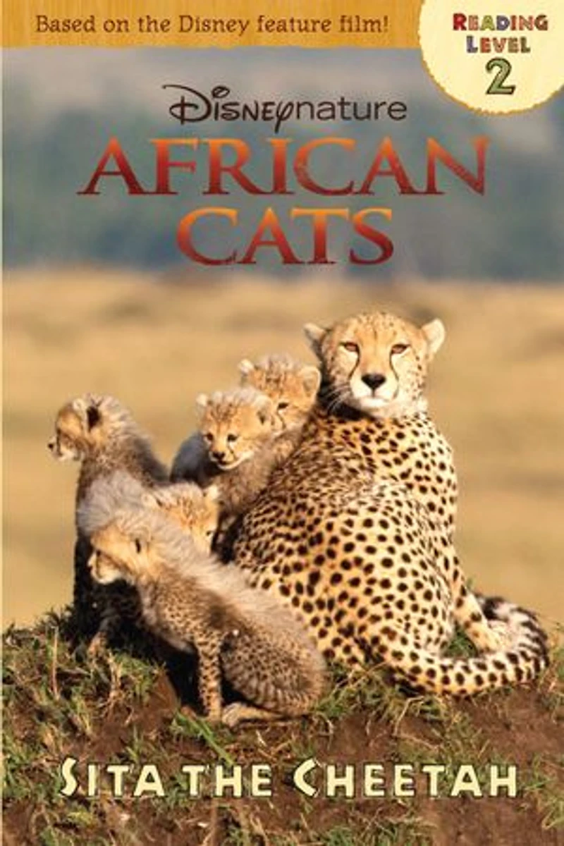 African Cats: Sita the Cheetah
