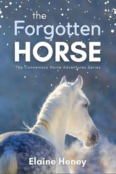 The Forgotten Horse: Connemara Horse Adventures, #1