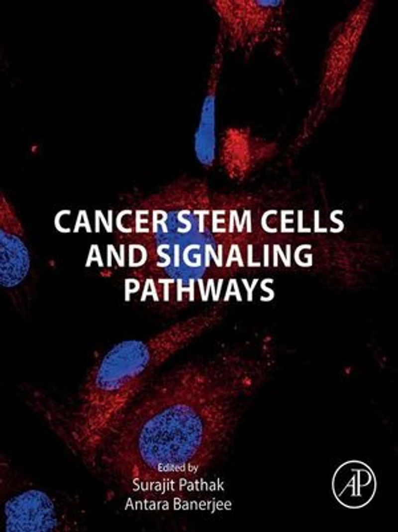 Cancer Stem Cells and Signaling Pathways