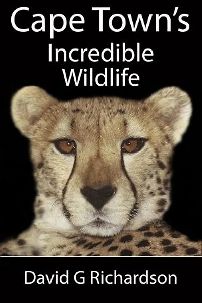 Cape Town's Incredible Wildlife