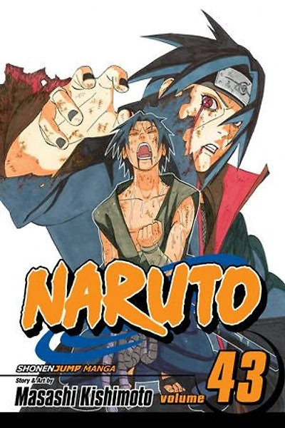 Naruto, Vol. 43: the Man with Truth