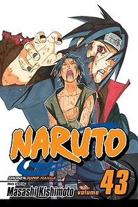 Naruto, Vol. 43: the Man with Truth