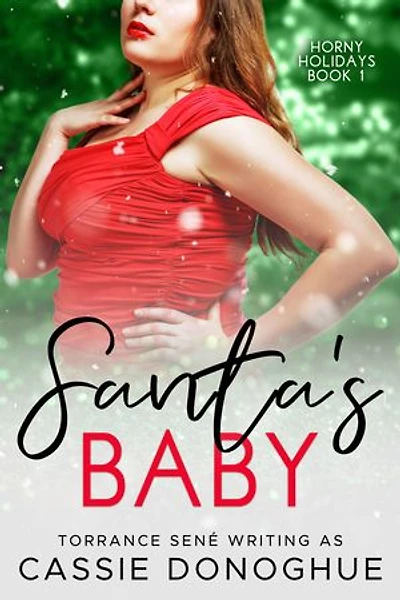 Santa's Baby (Horny Holidays, Book 1)
