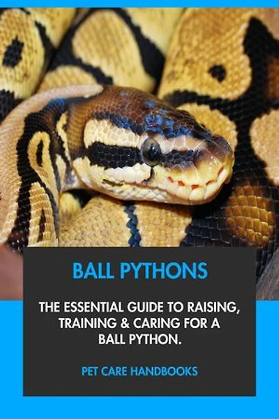Ball Pythons: The Essential Guide to Raising, Training & Caring for A Ball Python.