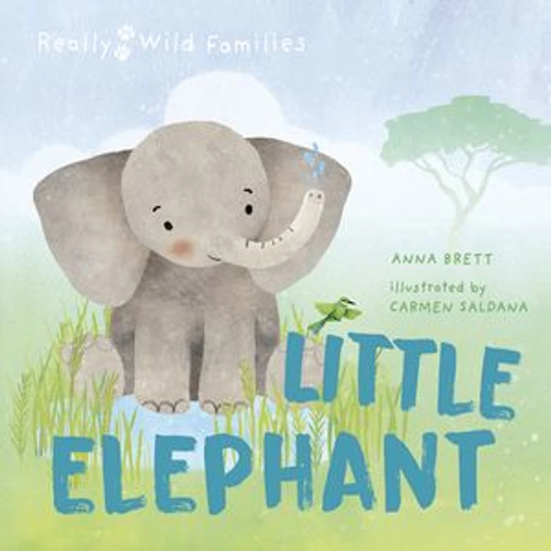 Little Elephant: A Day The Life Of Elephant Calf