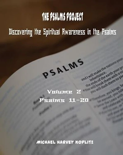 The Psalms Project Volume Two Discovering the Spiritual World through the Psalms – Psalm 11 to 20: Psalms Project, #2