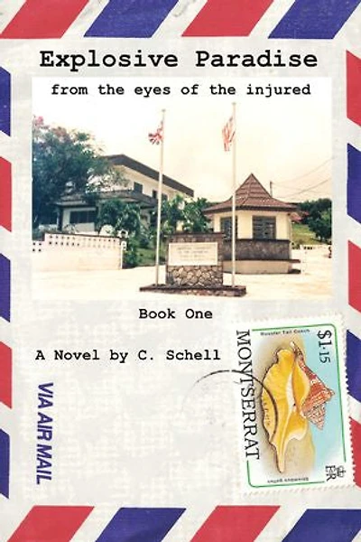 Explosive Paradise: From the Eyes of the Injured: Book One