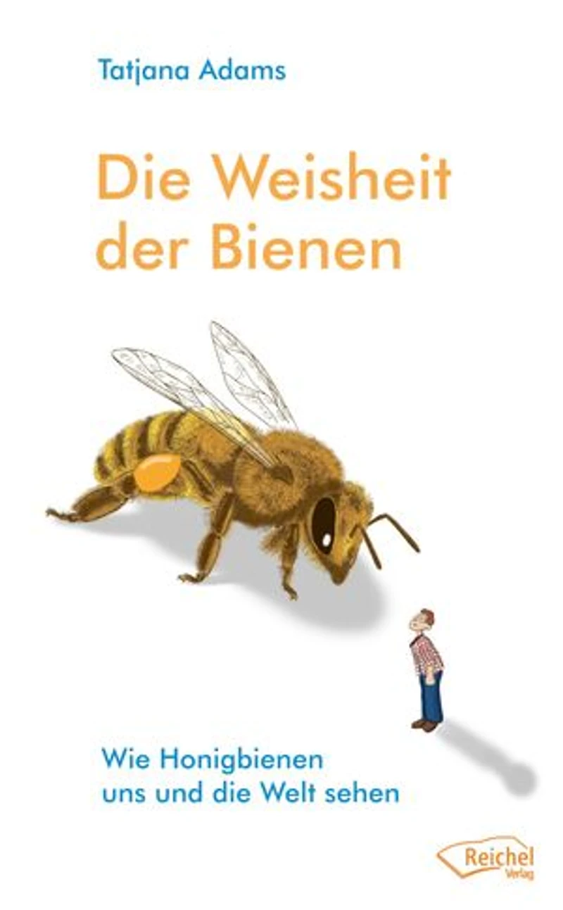 die Weisheit der Bienen: Wie Honigbienen uns und Welt sehen