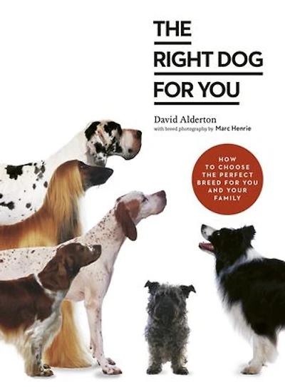 the Right Dog for You: How to choose perfect breed you and your family