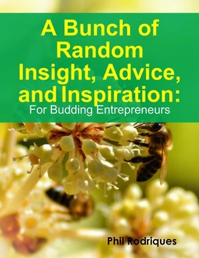 A Bunch of Random Insight, Advice, and Inspiration: For Budding Entrepreneurs